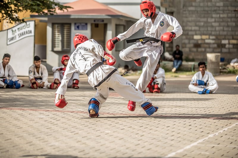 Taekwondo discipline